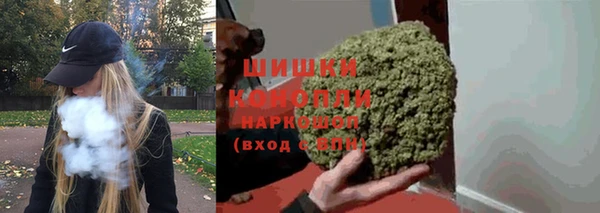 apvp Богданович