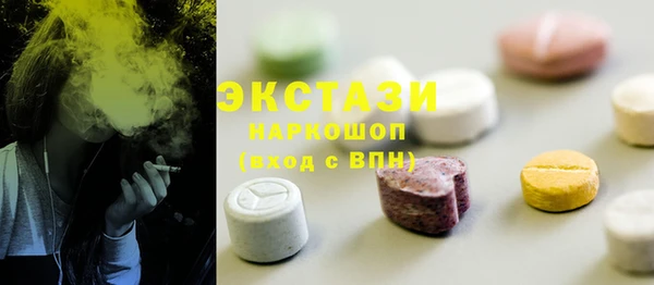 ECSTASY Богородицк