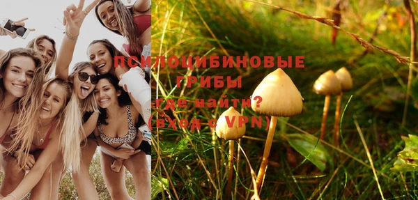 ECSTASY Богородицк