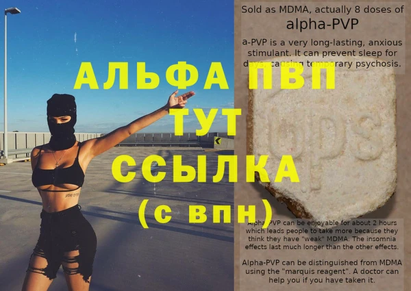ECSTASY Богородицк