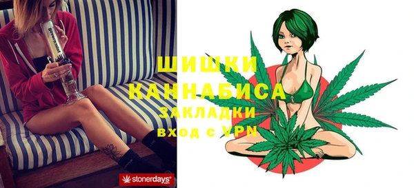 ECSTASY Богородицк