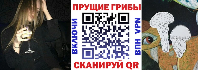kraken как войти  Монино  Псилоцибиновые грибы Psilocybe 